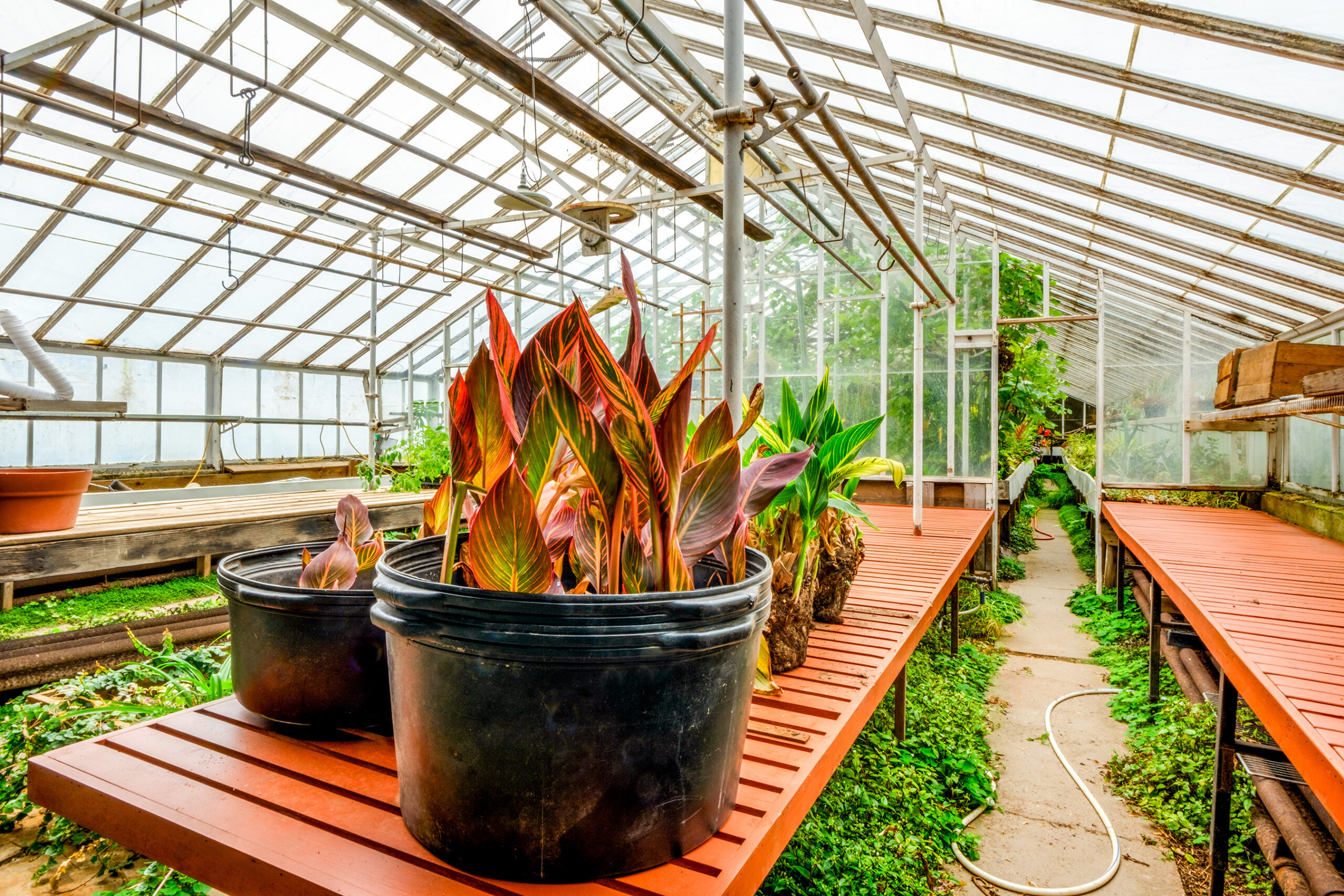 Greenhouses265main 265 Main Street, Delhi, NY